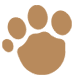 bearwear g